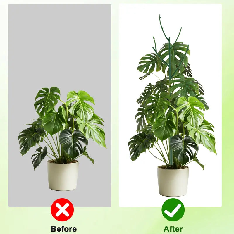 Stackable Monstera Plant Support Stakes — 6 Piece Set PLANT SUPPORT · PLANT CARE COLLECTION