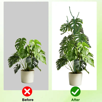 Stackable Monstera Plant Support Stakes — 6 Piece Set PLANT SUPPORT · PLANT CARE COLLECTION
