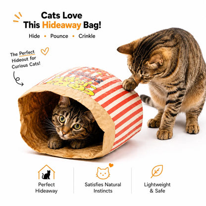 Kraft Paper Cat Hideout